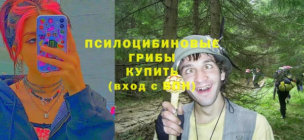 каннабис Покачи