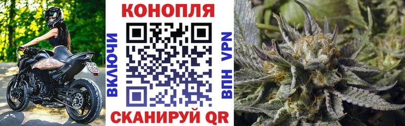 darknet официальный сайт  Луга  omg как зайти  МАРИХУАНА VHQ  наркотики 